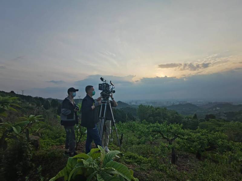 创意破圈！栖霞区电商产品宣传视频用故事化叙事引爆流量