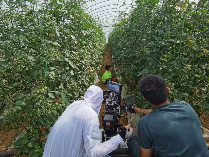 栖霞区产品宣传视频拍摄公司进阶指南，助力品牌抢占传播高地